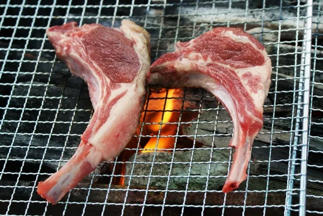 ラムチョップ 網焼き 羊肉 冷え性 気血を補うおすすめ食事 鍼治療 血尿患者