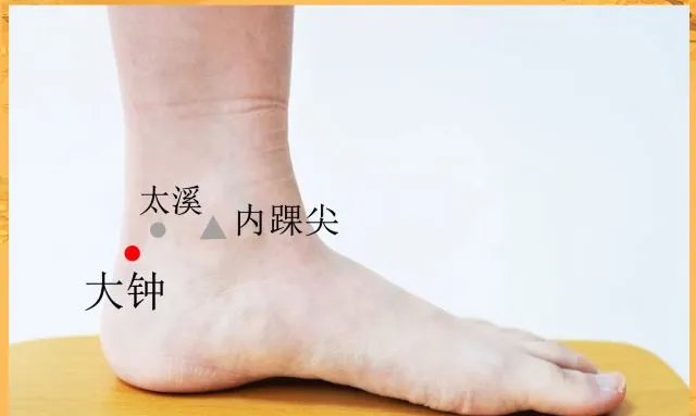 足首内側の太谿（太溪）と大鐘の鍼灸ツボ位置図。内踝尖を基準に太谿（灰色丸）と大鐘（赤丸）を示した解剖図