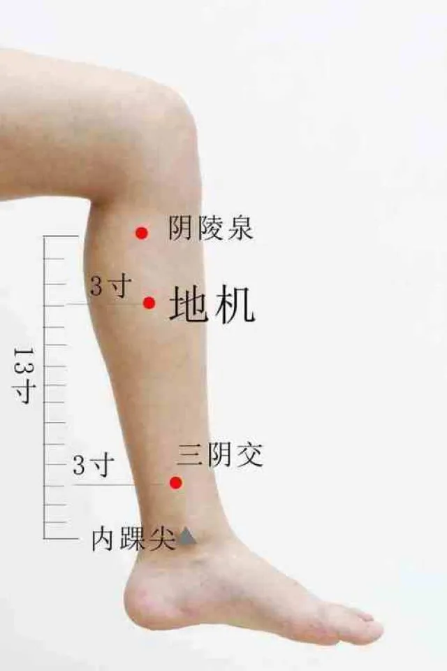 足のむくみに効果的なツボ「陰陵泉・地機・三陰交(下三皇)」の位置図。中国語表記で内踝尖からの寸法が記載されています。