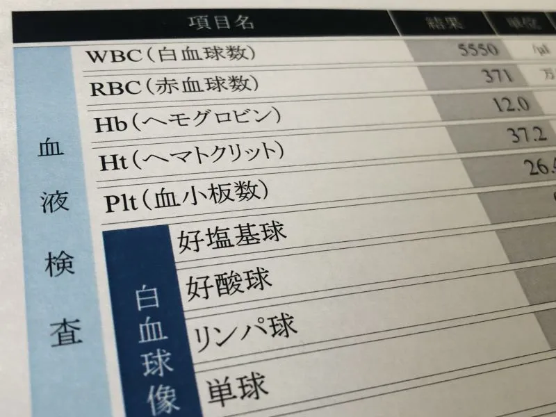 白血球数が6万と記載された検査結果の書類クローズアップ