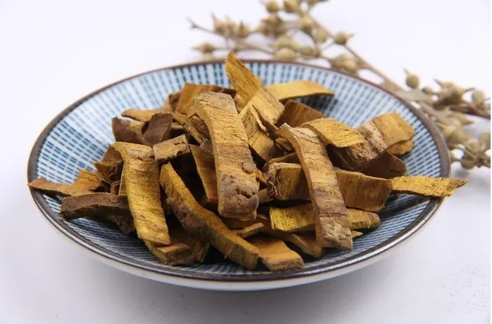 白と青の皿に乗った黄柏の生薬、背景に木の枝がある画像