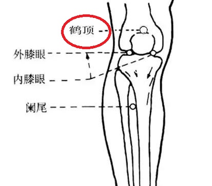 膝痛のお灸のツボ：鶴頂穴