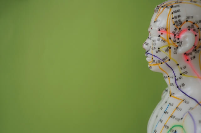 鍼の響きと経絡の流れ：中国鍼の得気したあとに起きた面白い「経絡伝達現象」