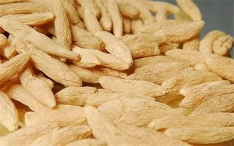 漢方薬に使われる生薬の麦門冬