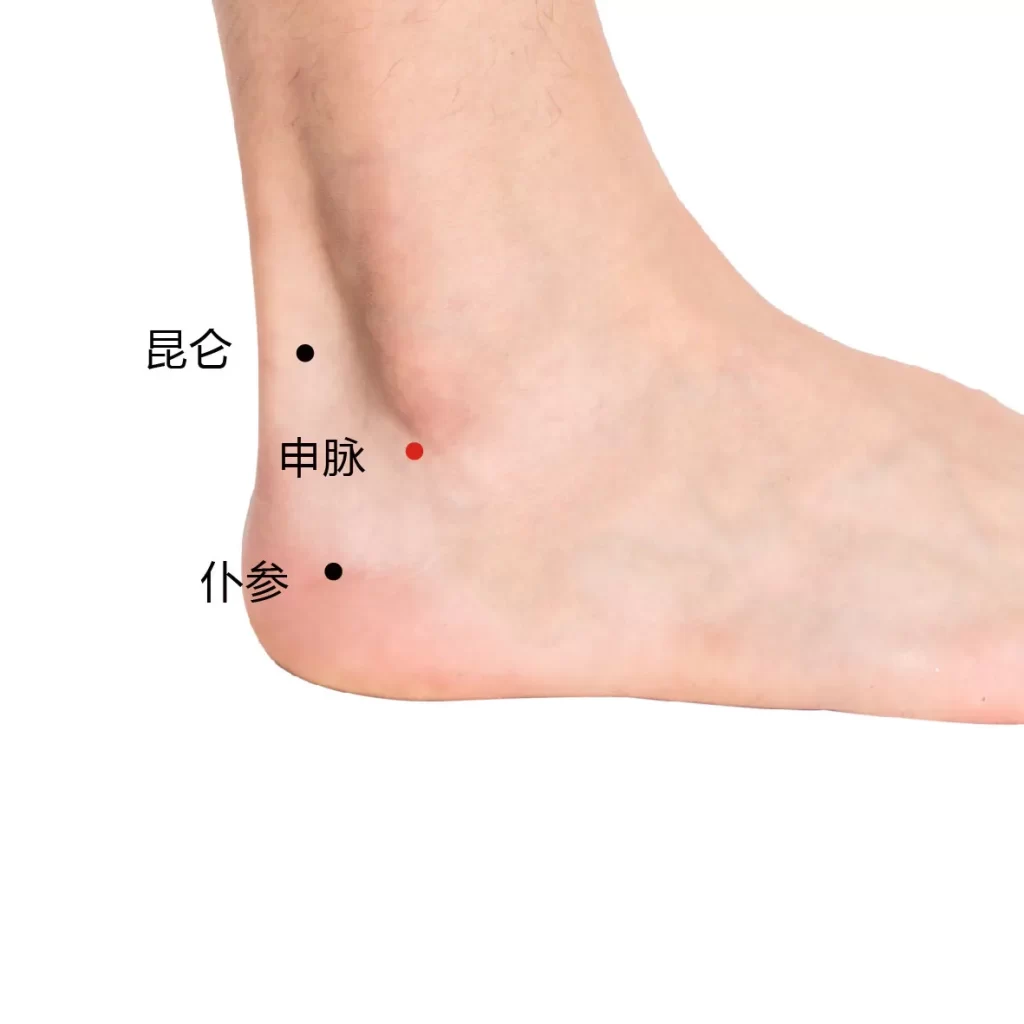 右足外側にある申脈・崑崙・僕参の位置を示したツボ図（申脈は赤丸、崑崙と僕参は黒丸）