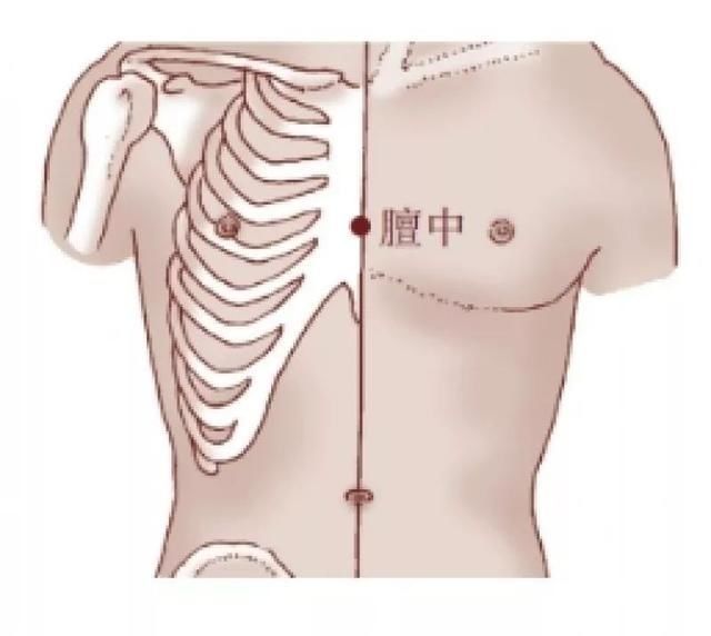 薄いピンク色の人体模型に示された膻中穴の位置。胸の中央、両乳首を結ぶ線上に赤い点でマーク。