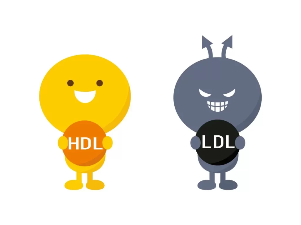 HDL（善玉コレステロール）とLDL（悪玉コレステコレロール）を擬人化したイラスト。左：笑顔の黄色い人がHDL、右：悪い顔のグレーの人がLDL