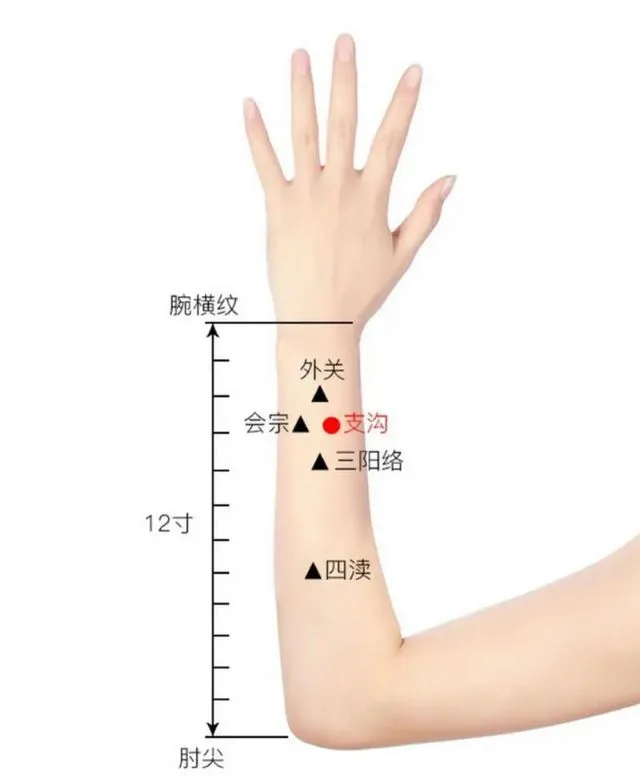 三焦経のツボ位置図：支溝穴（赤丸）を中心に外関・会宗・三陽絡・四渎を示した図。腕横紋から肘尖まで12寸の目安付き。便秘改善に用いるツボ。