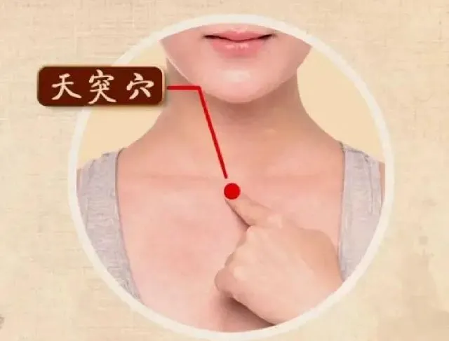 天突穴の位置を示した図。喉の中央にある赤丸のツボで、咳や痰が絡む症状に効果的。左手で指している位置が天突穴です。