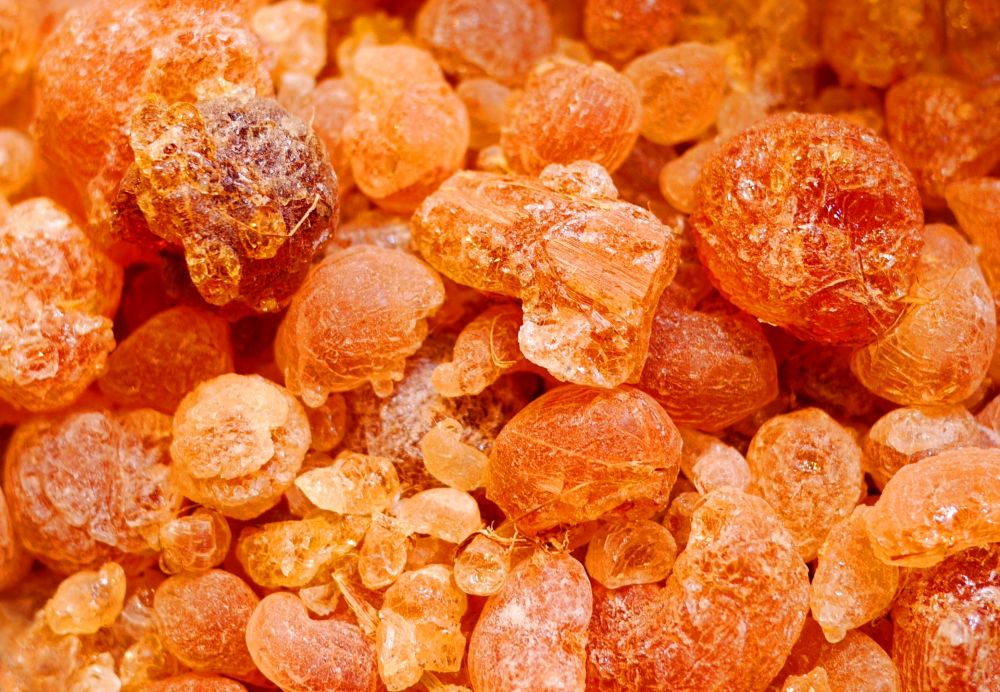 赤と黄色が混ざった美しい乳香の生薬のクローズアップ画像。漢方薬の治療に用いられる天然素材。