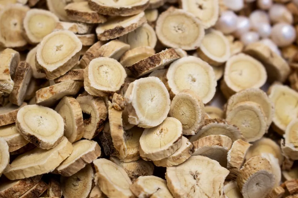 大量の黄耆(オウギ)の輪切り