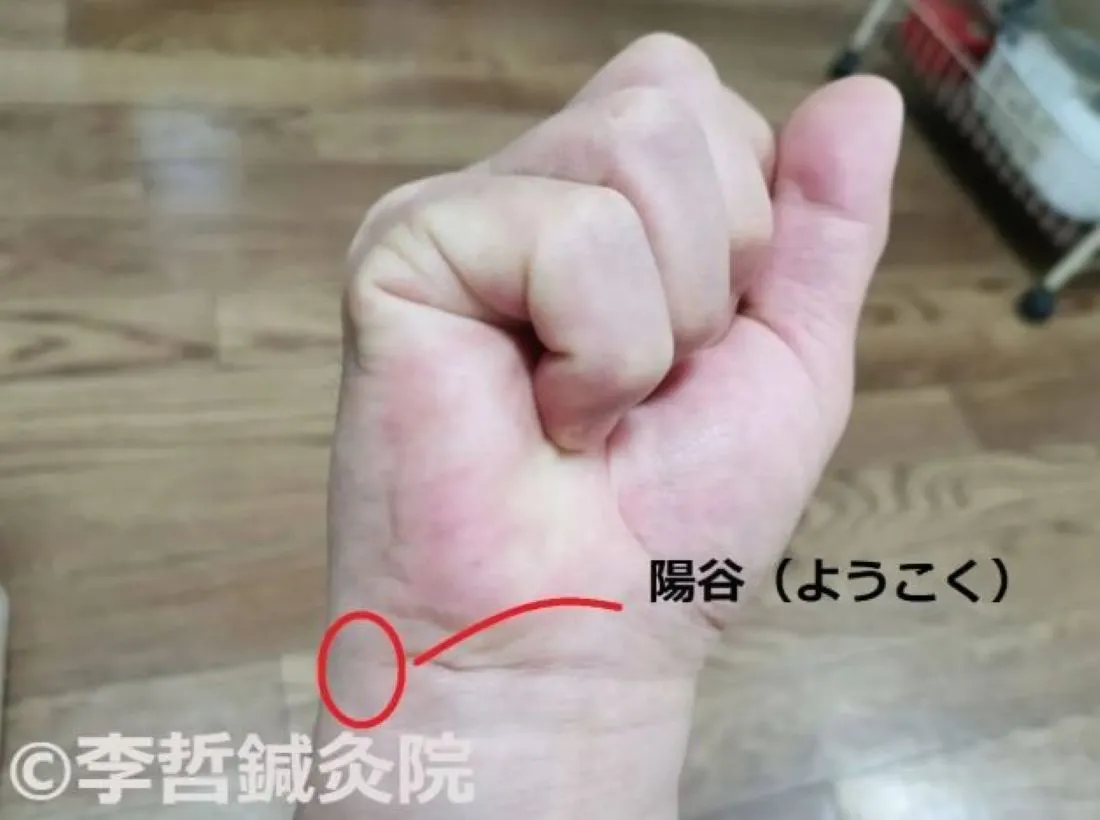 右手首の内側にある暘谷穴を赤丸で示した写真。黒文字で「暘谷(ようこく)」と表記。