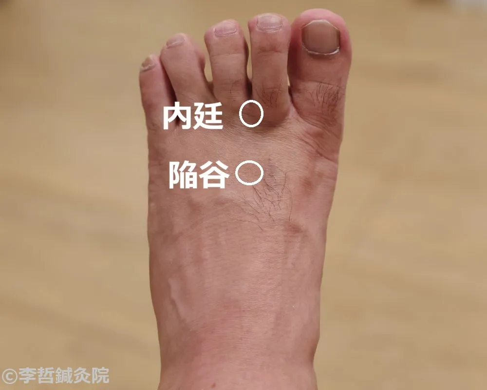 足の甲にある内廷と陥谷の位置を白丸で示したツボ図