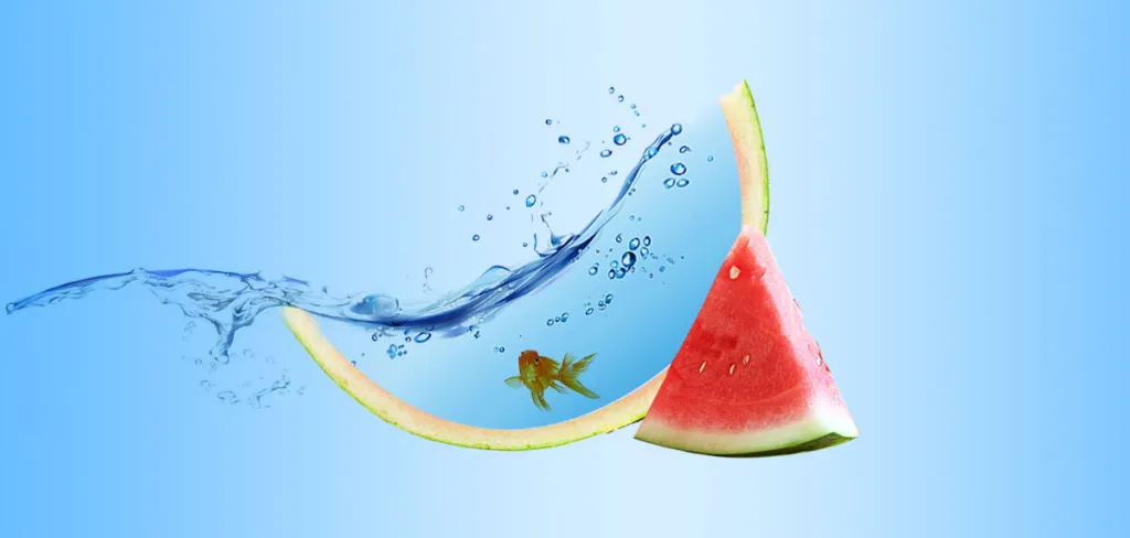 中医学の水の代謝を象徴するイラスト：カットされたスイカ、水の模様、金魚一匹。熱中症予防の漢方視点で夏の水分補給をイメージ。