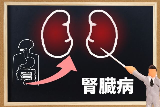 腎臓疾患の最大の原因は、病院の薬!疲れやすい、血尿、頻尿、皮膚が乾燥してかゆい、尿の泡が多い…などは中医学治療を受けるべき