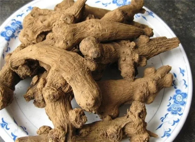 腎臓を救う最強の生薬・乾燥した白朮（びゃくじゅつ）が皿に盛られた画像