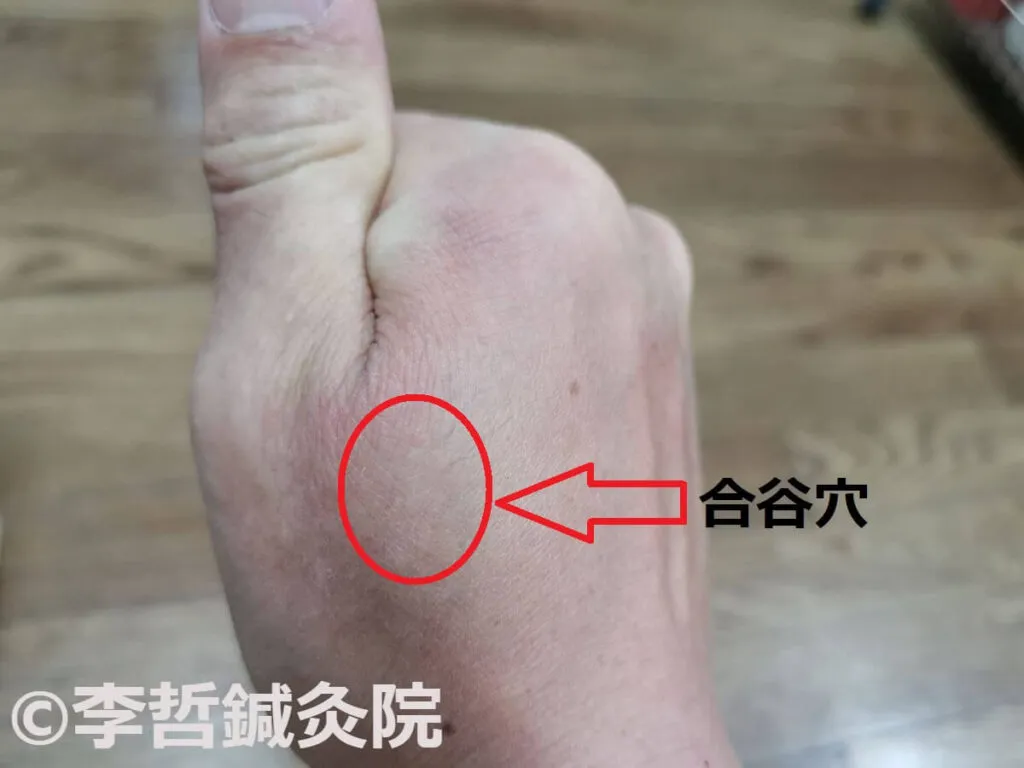 右手の親指と人差し指の間にある合谷穴を赤丸と矢印で示した画像