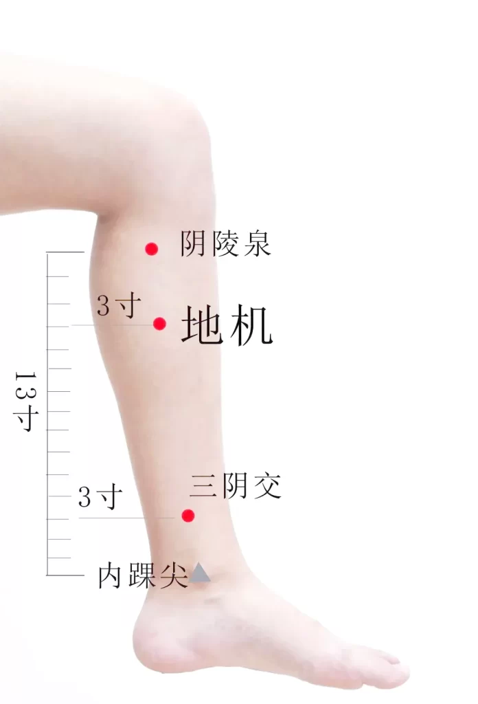女性の下腿内側に陰陵泉・地機・三陰交の位置と寸法を記載したツボ図