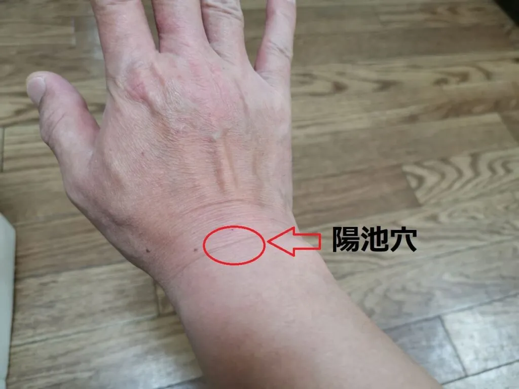 右手首の中央にある陽池穴を赤丸と矢印で示した画像