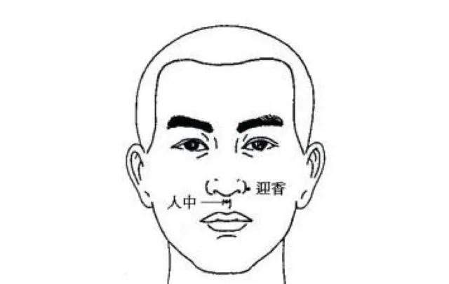 溺死蘇生に使う人中穴が示された男性の顔の鍼灸ツボ線画図