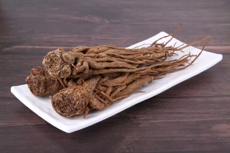 当帰芍薬散に使われる生薬の当帰