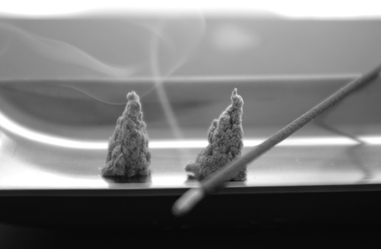 血尿治療に使うお灸の艾と点火用お線香が皿に置かれた画像