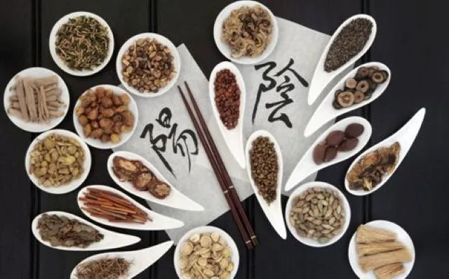 漢方生薬を丸型・細長容器に美しく並べた展示。右側に「陰」、左側に「陽」と書かれた紙が置かれ、中医学の陰陽バランスを表す