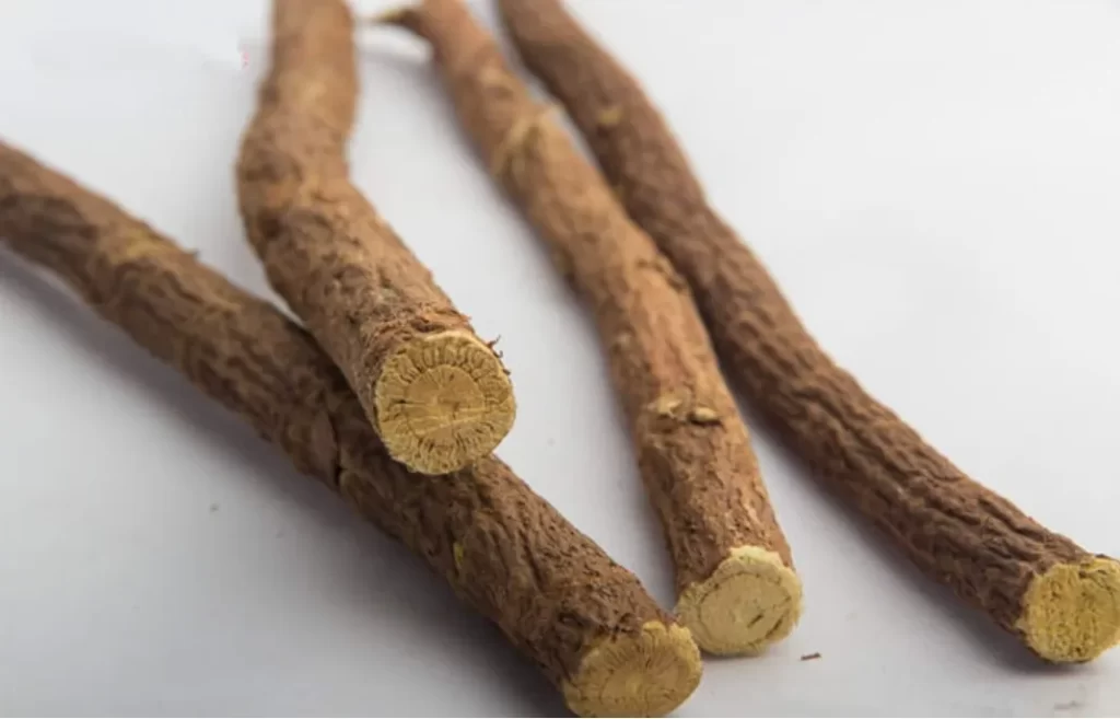 炙甘草の生薬クローズアップ：細長い枝の質感が詳細に写った漢方薬の写真
