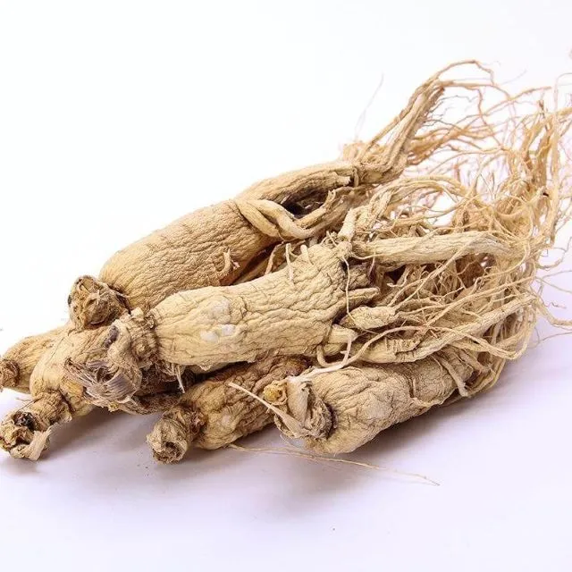 四磨湯に含まれる生薬・人参の丸ごと6本