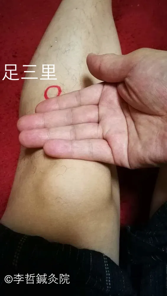 膝のお皿の下から指4本分下の位置に赤丸で示した足三里ツボの場所を写した写真。