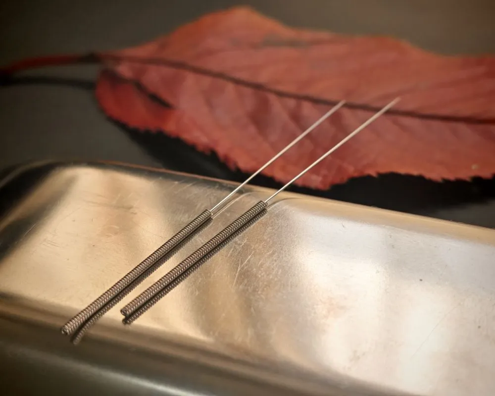 ステンレス皿に乗った鍼と紅葉。巻き爪の根本原因「肝血虚」を鍼灸で改善