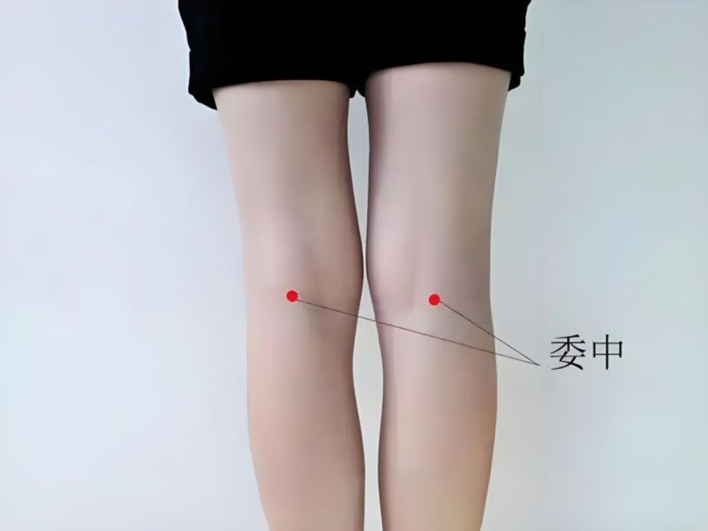 膝裏の委中の位置を示す女性の後ろ姿のイラスト。赤丸でツボを強調