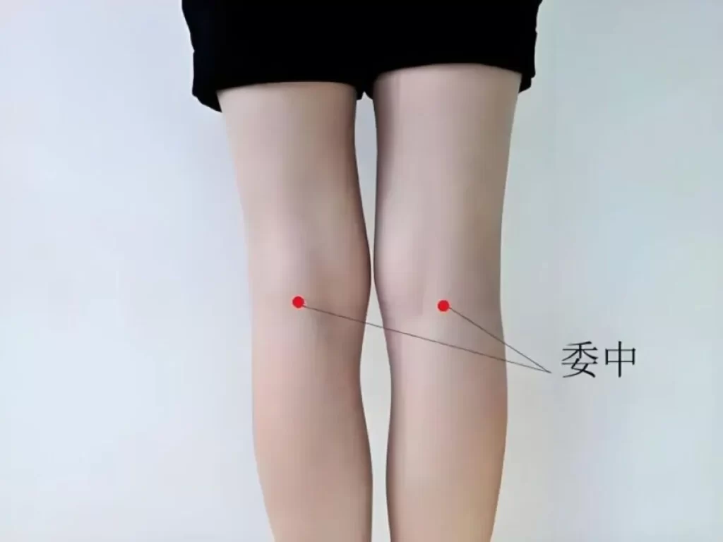 膝裏の委中穴の位置を示す女性の後ろ姿のイラスト。赤丸と線でツボを強調し、腰痛や坐骨神経痛に用いるツボを示した画像。