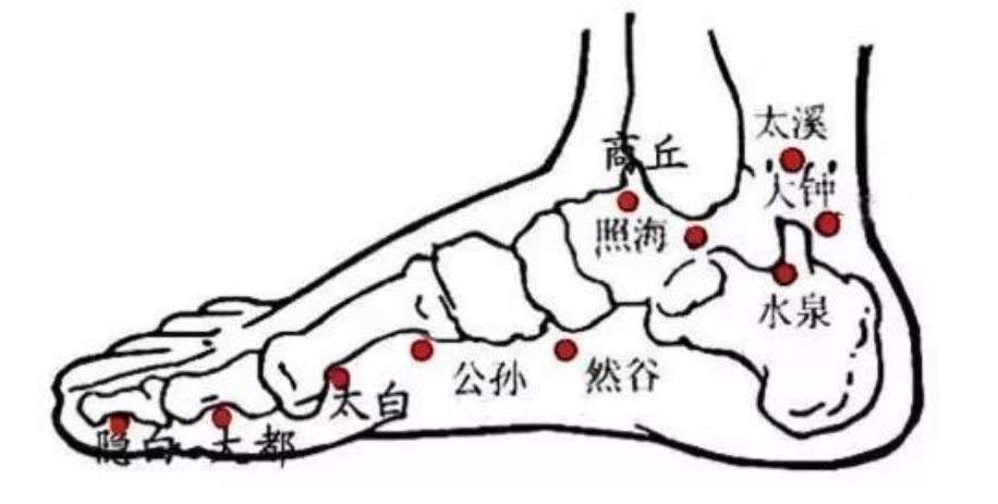 足太陰脾経の経絡とツボを示す足のイラスト。外反母趾の原因となる脾経の流れを中医学の視点で解説。