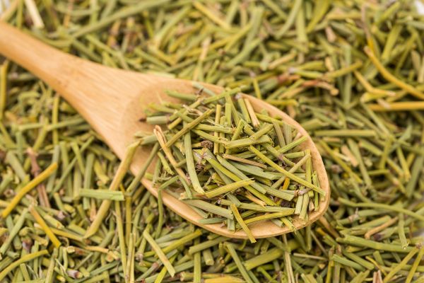 木のスプーンに乗せられた漢方薬の麻黄の乾燥ハーブ