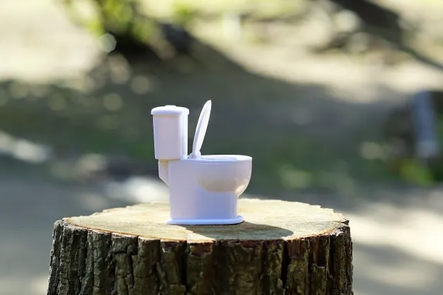 森林を背景に、木の断面の上に置かれたミニチュアの便器。鍼灸治療で黒い下痢便や健康問題を改善するテーマを象徴的に表現。