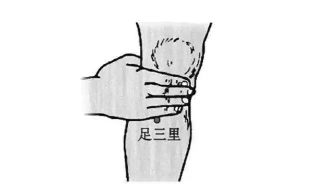膝の皿の下から指4本の位置にある足三里の簡易説明図