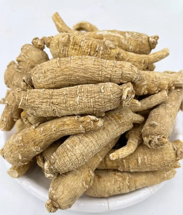 西洋人参（アメリカ人参）のクローズアップ、白い皿に盛られた状態