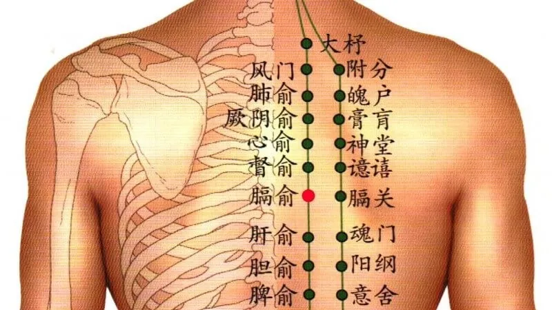 人間の背中の解剖図に、膈兪穴を含む膀胱経のツボを赤い点とラベルで表記したイラスト。むずむず症候群の治療に用いるツボの位置を示している。