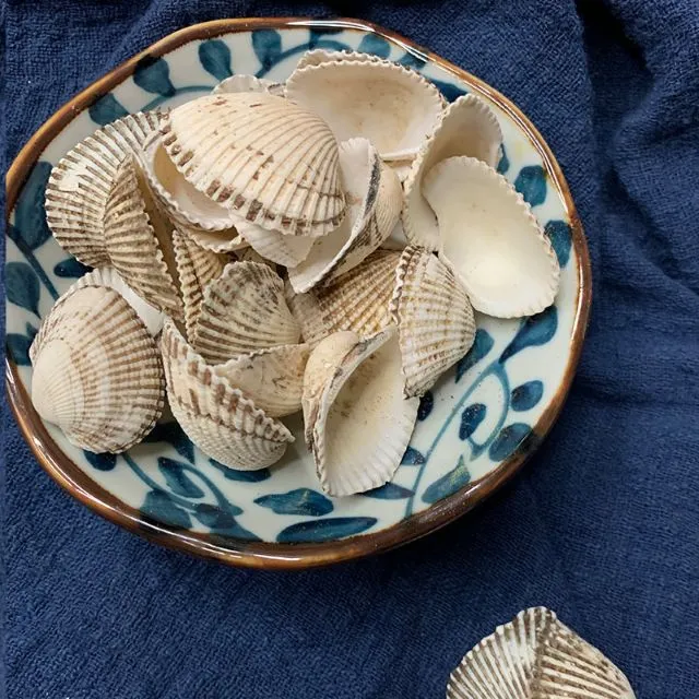 青い花柄の皿に盛られた瓦楞子の殻（漢方生薬）。乳がん治療の処方で使用される軟堅散結の薬材。