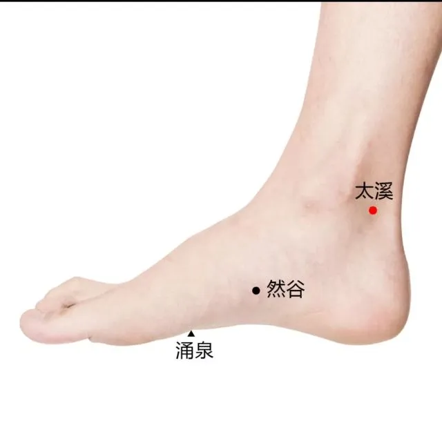 足の内側と足裏を図示したイラストで、太谿（太溪）、然谷、湧泉（涌泉）の位置に中国語とマークが付けられた鍼灸ツボの解説図。