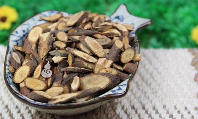 桂枝（けいし）のスライス。漢方処方「桂枝湯」の主薬で血行を促す