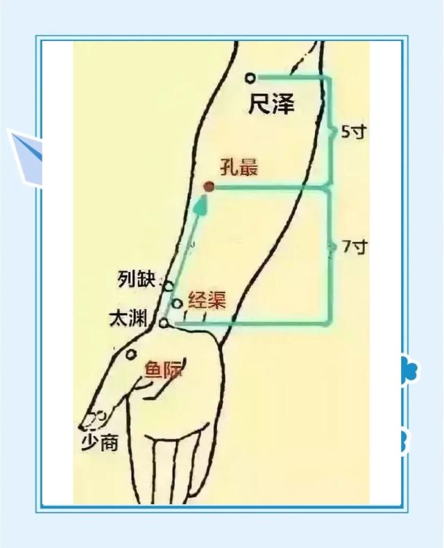 手の太陰肺経の経穴（少商、魚際、太淵、経渠、列缺、孔最、尺沢）が表記された手書き風イラスト。