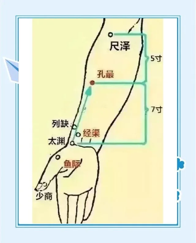 手の太陰肺経の経穴(少商、魚際、太淵、経渠、列缺、孔最、尺沢)が表記された手書き風イラスト。