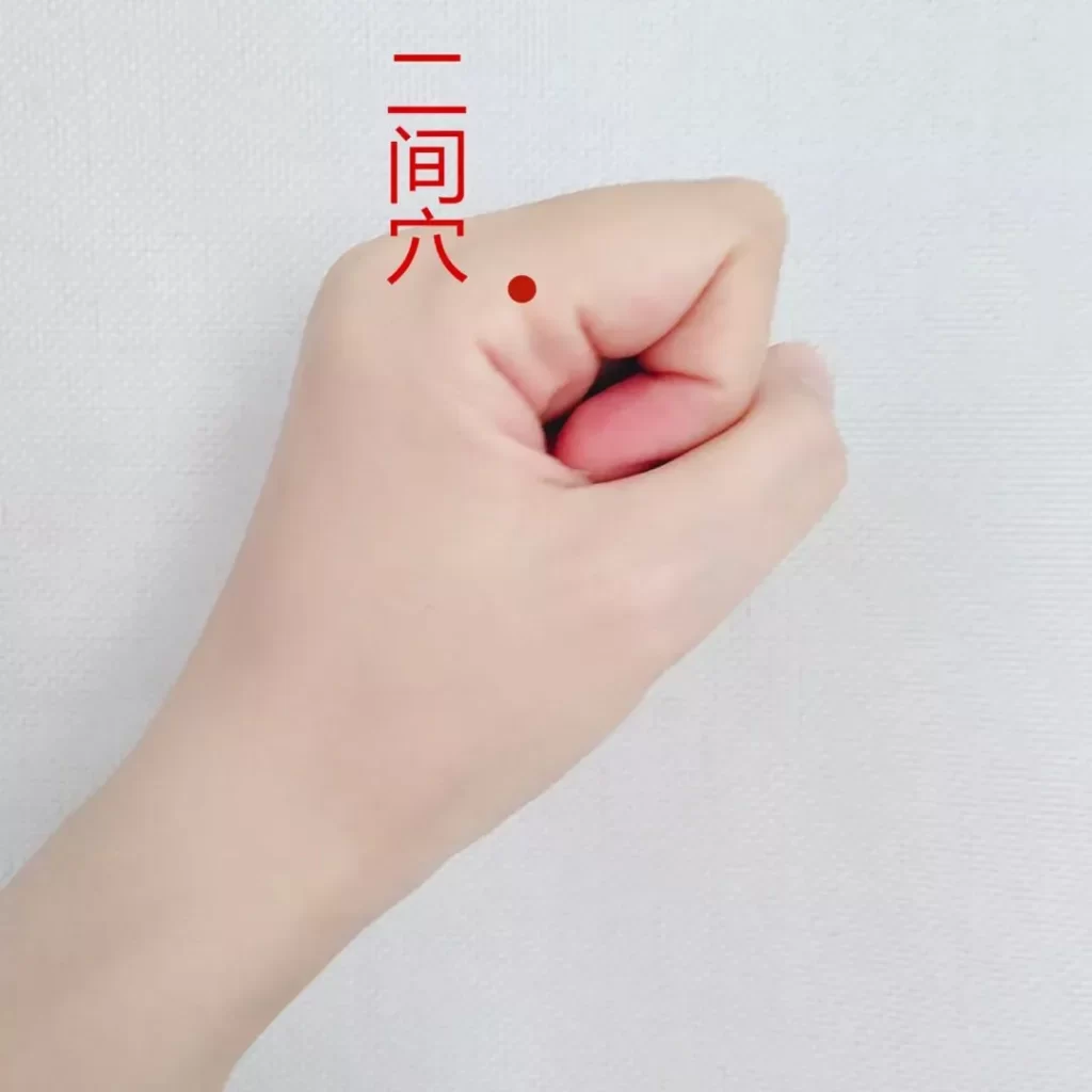 二間穴（じかんけつ）の位置図。人差し指の第2中手指節関節下の橈側に赤丸で示した鍼灸ツボ図
