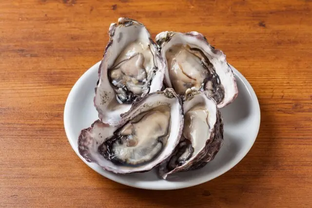 白いお皿に盛られた新鮮な牡蠣