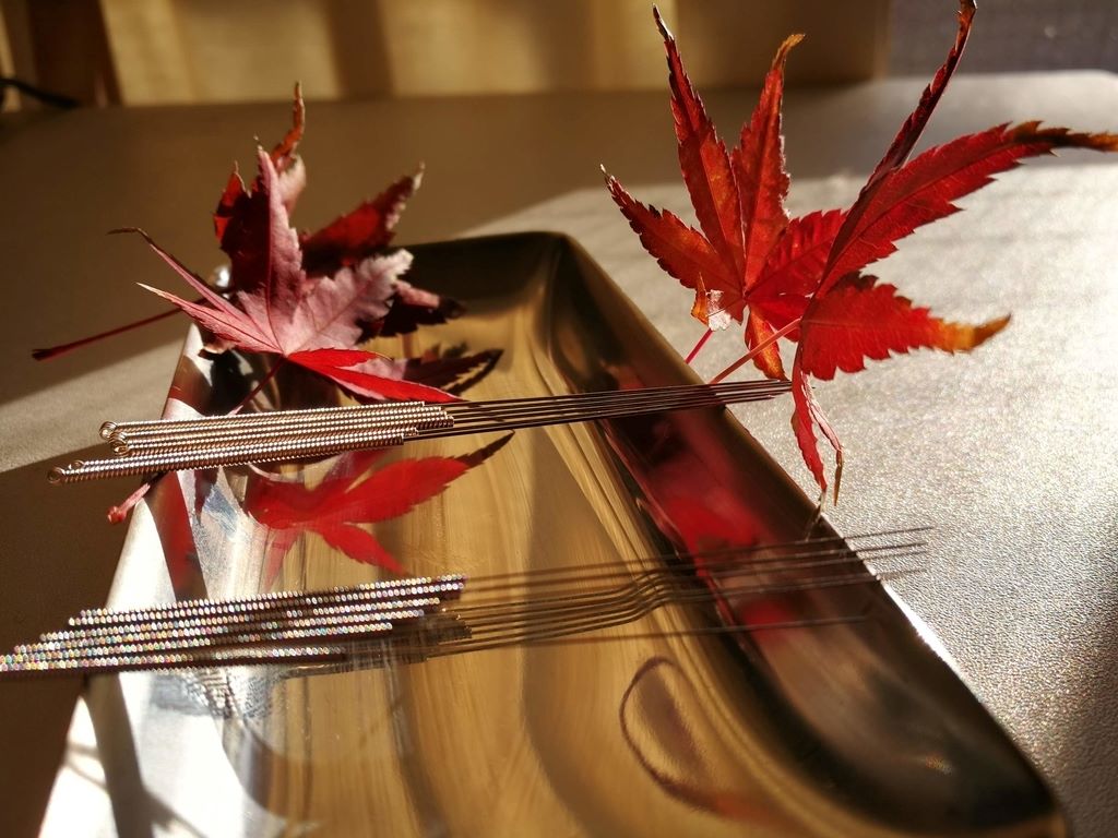 鍼はがん治療もできる