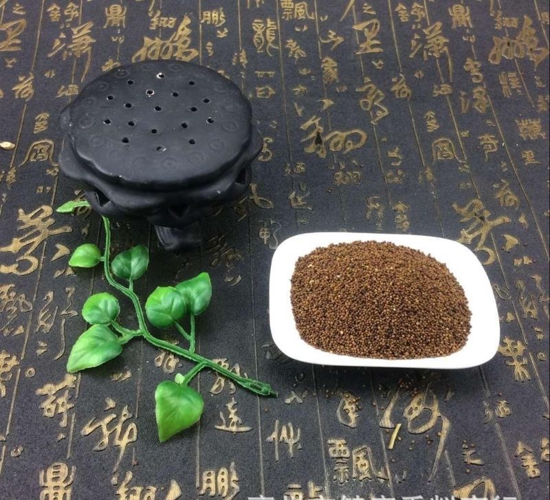 莵絲子（としし）の画像