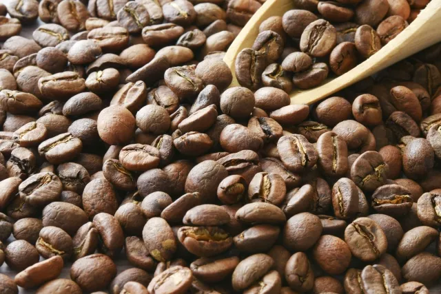 大量の焙煎コーヒー豆に木のスプーンを入れた様子、保存された古い豆のイメージ