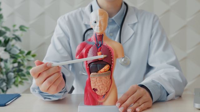 中医学で解明！食べ物で肺が熱くなる・冷たくなる原因と1日改善法｜隠れた飲の治療例